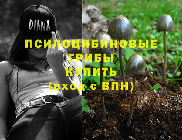 амф Аркадак