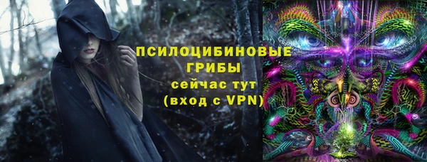 амф Аркадак