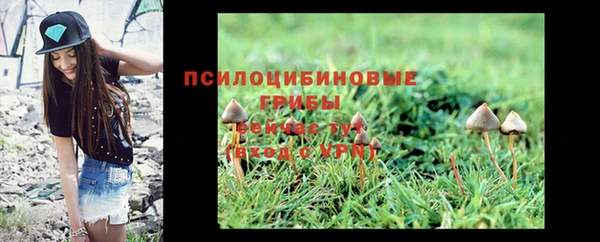 таблы Армянск