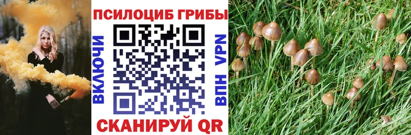 Галлюциногенные грибы Psilocybine cubensis  что такое   mega вход  Валдай 